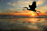 things-to-do-on-Cape-Hatteras-vacation