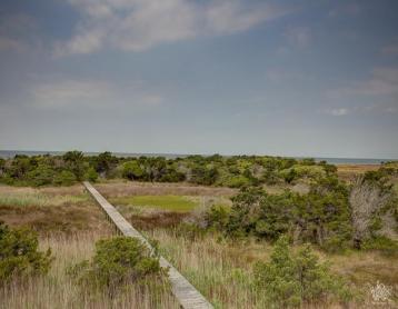 Pamlico Pathway #962